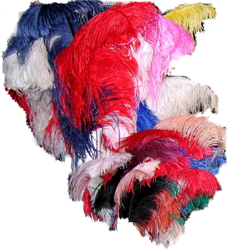 FEATHERS - OSTRICH 19" - 22"
