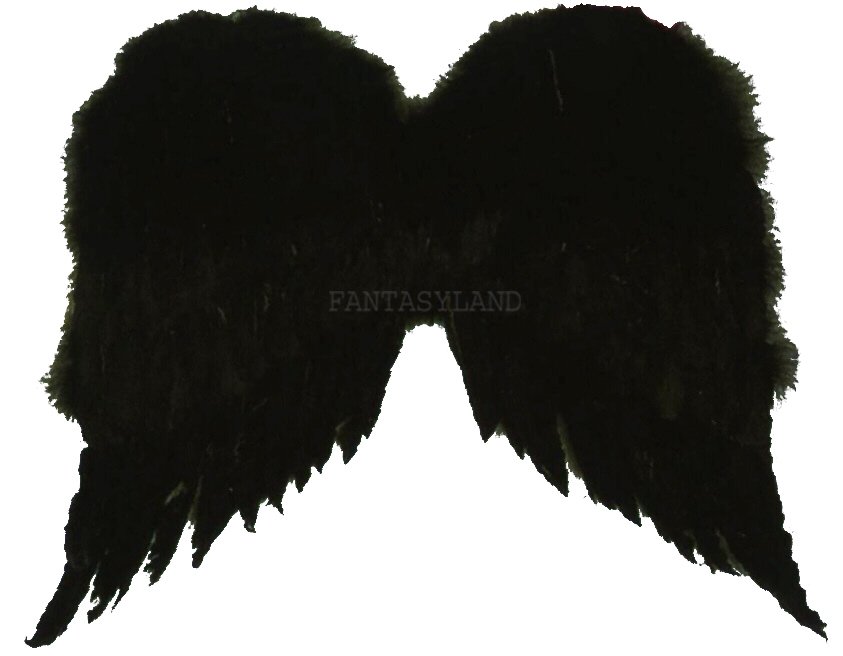 BLACK FEATHER WINGS 22" x 17" High