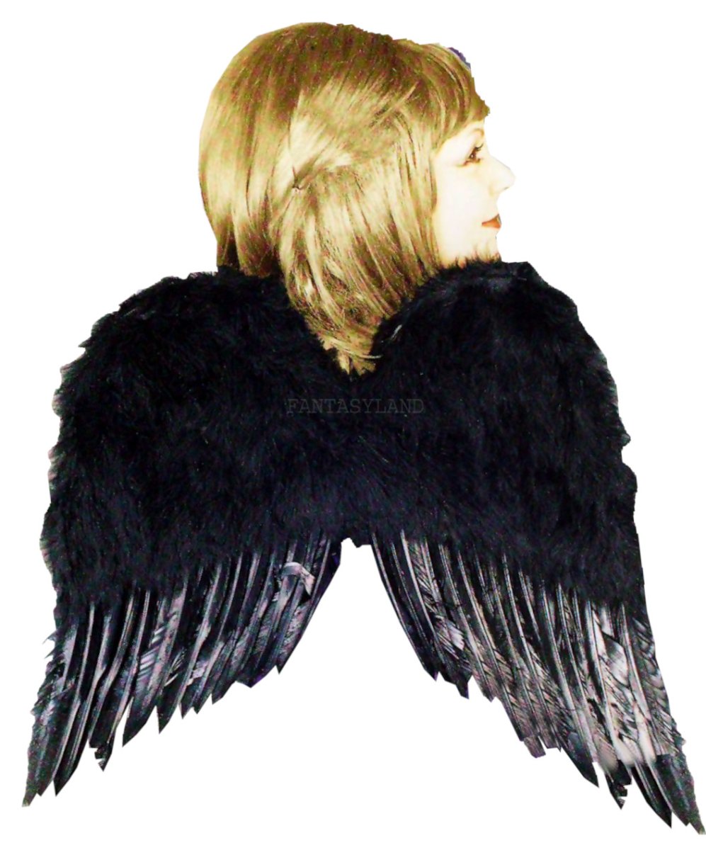 BLACK FEATHER WINGS 22" x 17" High