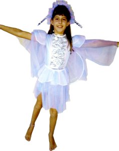 Purple Butterfly Costume, Size Child 8 - 10