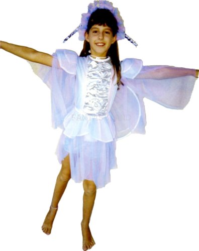 Purple Butterfly Costume, Size Child 8 - 10