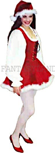 Deluxe Santa's Helper Costume, Size 10