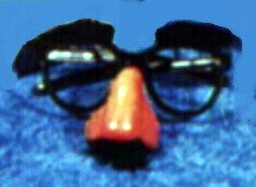 GLASSES W/FUZZY NOSE