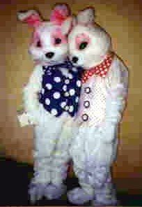 Bunny Costume Size Most