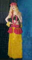 Hawaiian Costume Size Most
