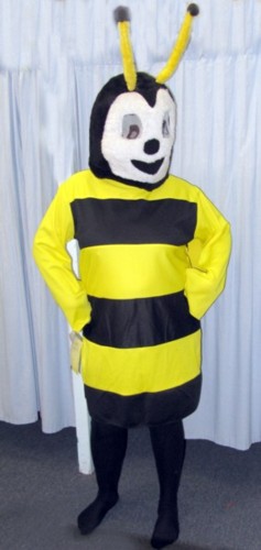 Bee Costume Size Most