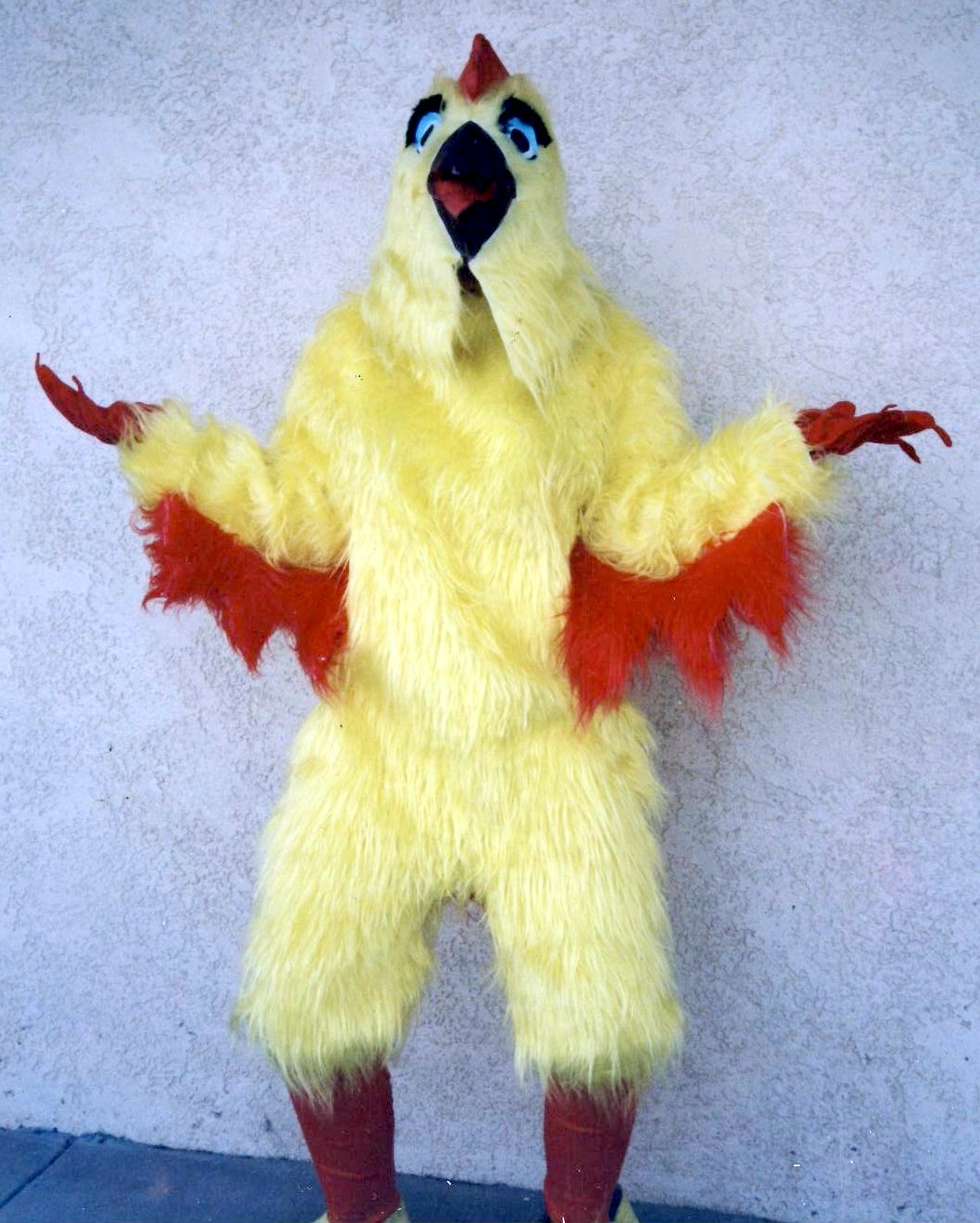 Chicken Costume Size All
