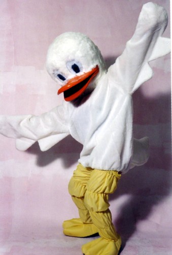 Duck Costume Size Most