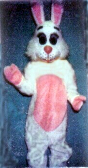 Bunny Costume Size Most