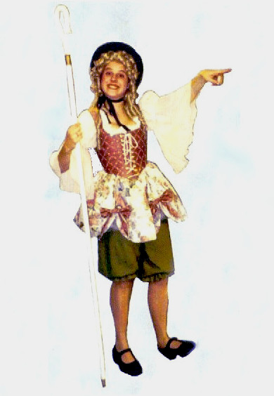 Romantic / Little Bo Peep /Nineteenth Century Costume Sz 10