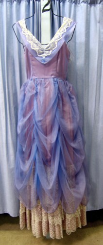 Sleeping Beauty Costume Size Small