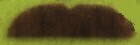 MUSTACHE - CHEAP - CARDED - ALF - Black