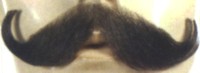 HANDLEBAR MUSTACHE - HUMAN BLEND - Dark Brown