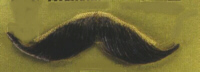 MUSTACHE - HANDLEBAR - Dark Grey