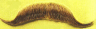 MUSTACHE - EUROPEAN - Medium Brown