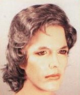 SEVENTIES SHAG WIG - Grey
