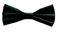 CLIP BOWTIE