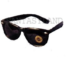 BLUES BROTHERS CIA GLASSES