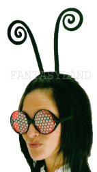 INSECT GLASSES