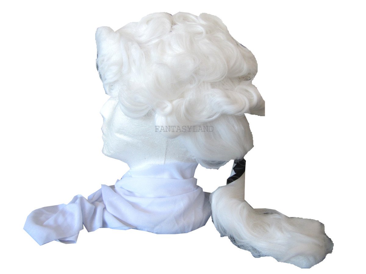 GEORGE WASHINGTON COSTUME ACCESSORY KIT