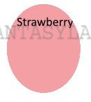 ROUGE MAKEUP DRY MAKEUP CHEEK POWDER #DR