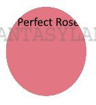 ROUGE MAKEUP DRY MAKEUP CHEEK POWDER #DR