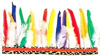 NATIVE AMERICAN HEADDRESS
