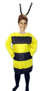 Bee Costume, Size Most