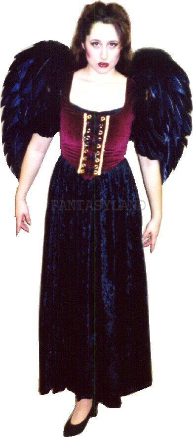 Gothic Costume Size 14 MD