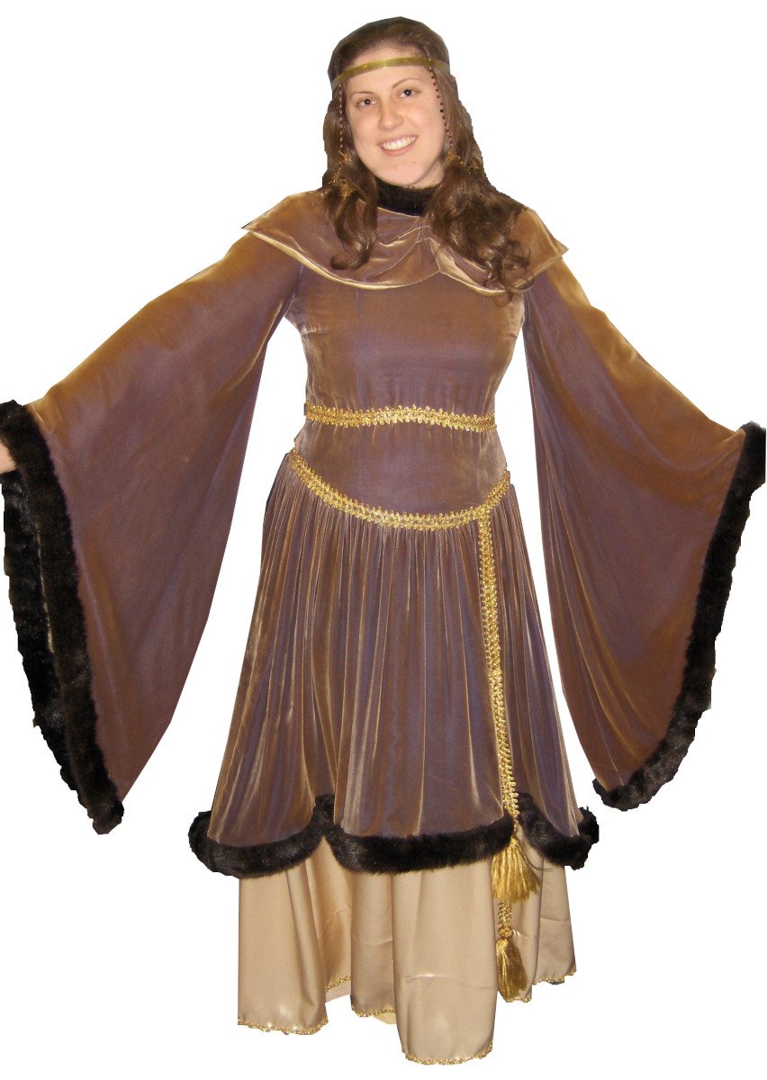 Guinevere Medieval Costume, Size Medium, Brown