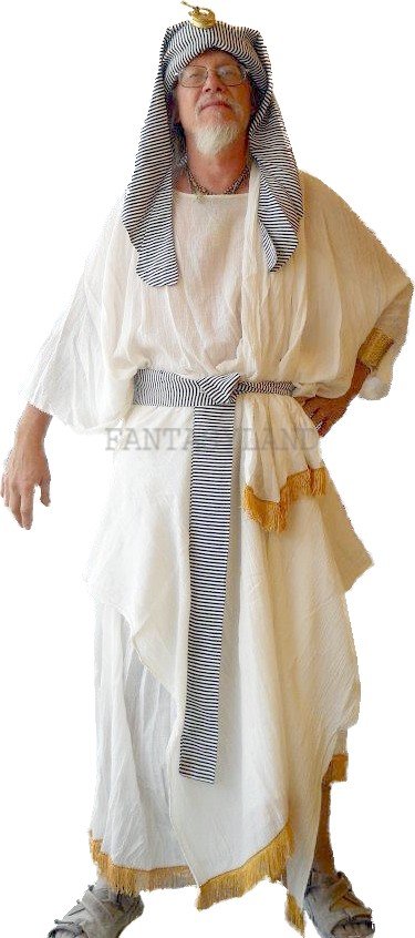 Pharaoh Egyptian Costume Size Small - Extra Large - Click Image to Close
