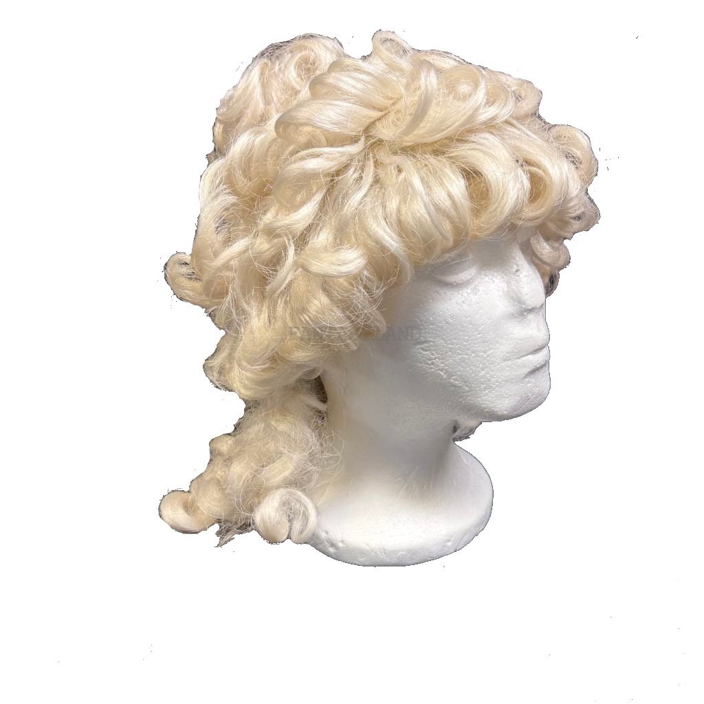 White 18th Century Colonial Lady Wig