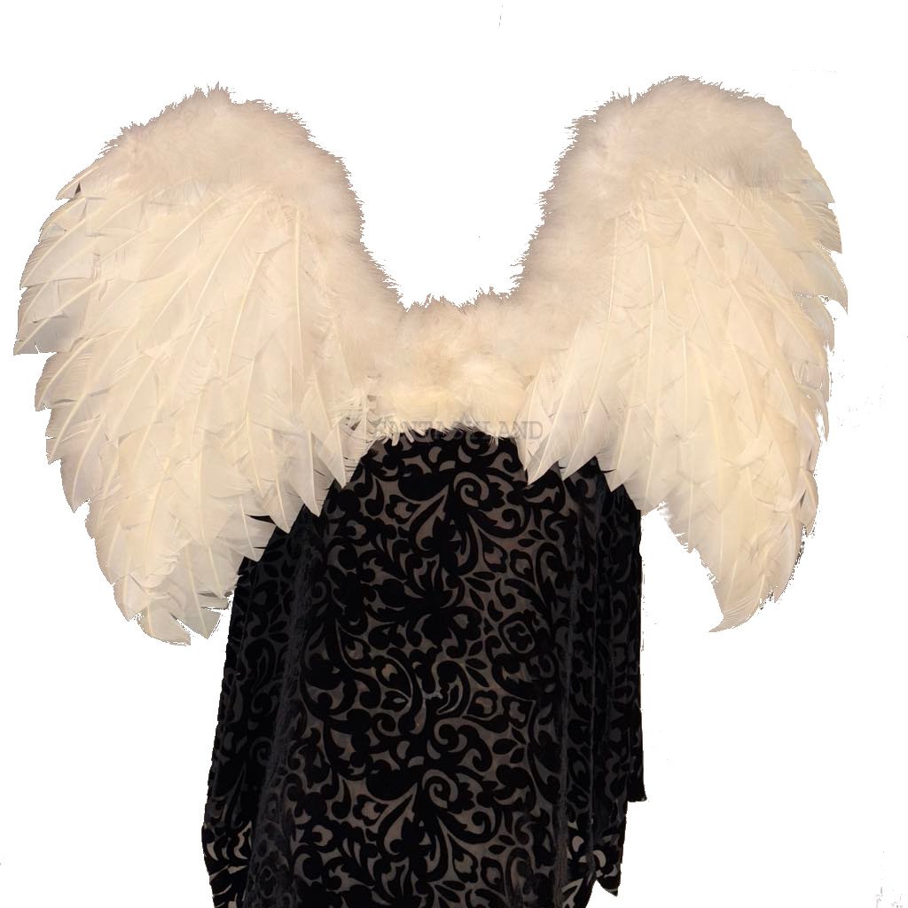 White Large Wings from Mother Plucker
