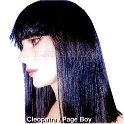 LONG BLACK PAGEBOY WIG