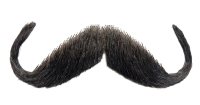 HANDLEBAR MOUSTACHE HUMAN BLEND